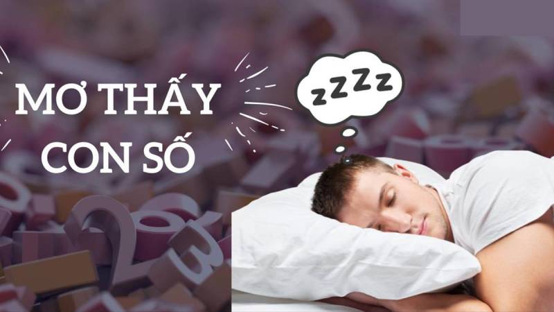 Giấc mơ trong lô đề có ý nghĩa như thế nào?